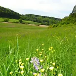 Zum Goldenen Lamm Wettelsheim