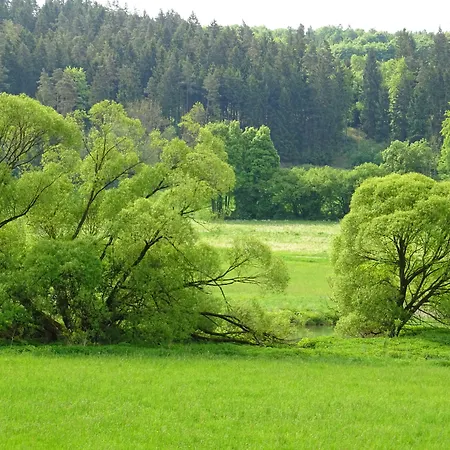 Zum Goldenen Lamm
