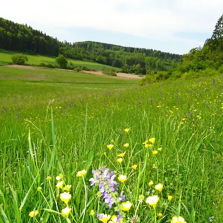 Zum Goldenen Lamm Wettelsheim