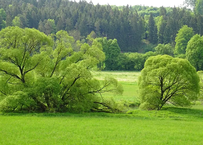 Zum Goldenen Lamm