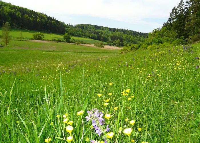 Zum Goldenen Lamm Wettelsheim