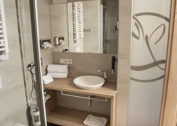 Hotel Zum Goldenen Lamm 4*